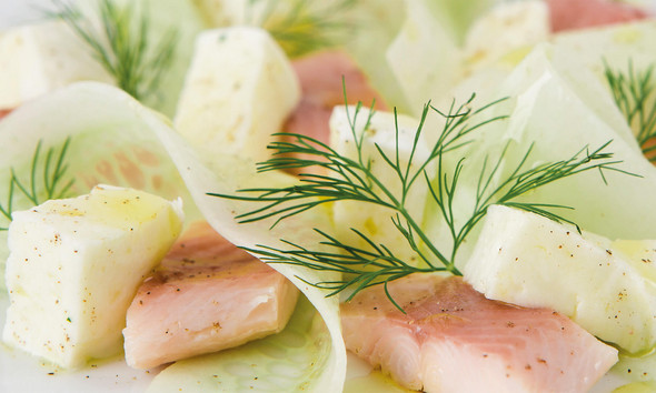 Gurkencarpaccio mit Mozzarella und Räucherforelle