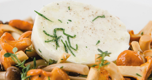 Lauwarmer Pilzsalat mit Mozzarella