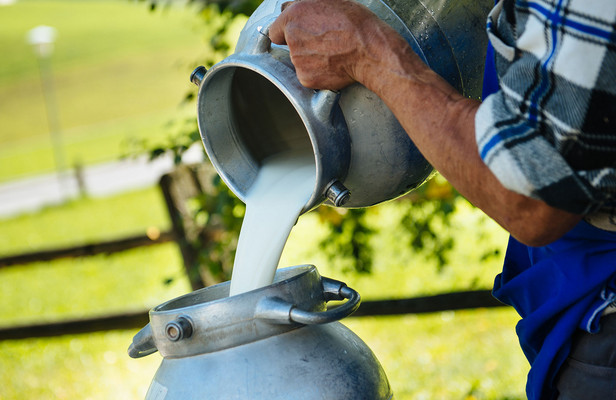 Brimi Milch