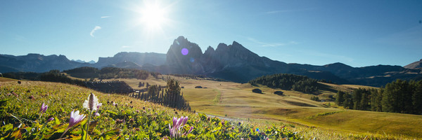 Farm Holidays in South Tyrol